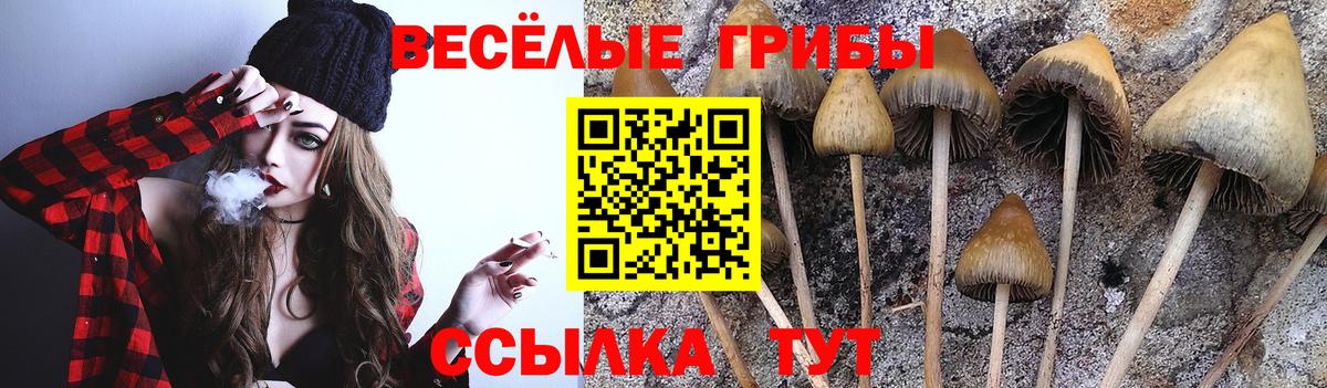 Псилоцибиновые грибы Magic Shrooms  Вход с VPN  Таганрог 